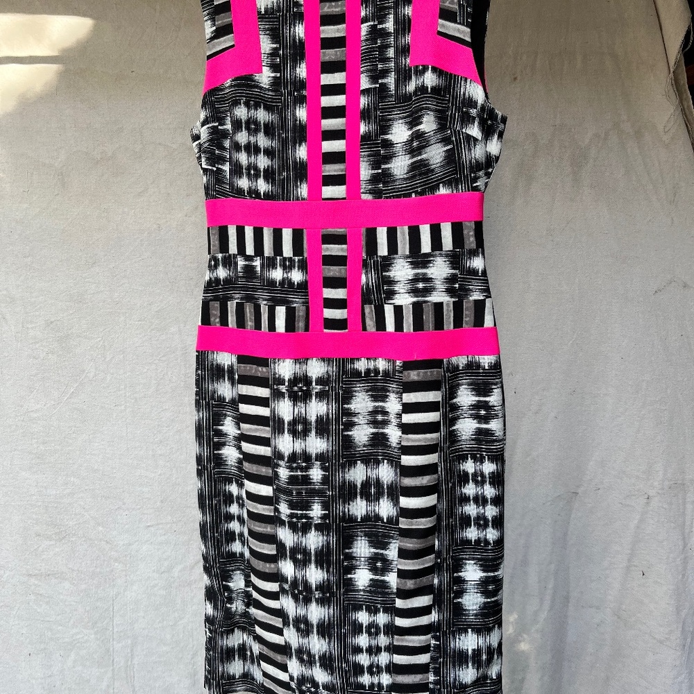 BCBG Max Azria Stunning colorblock dress